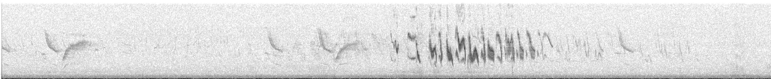 Alouette fauve (alopex/intercedens) - ML116484401