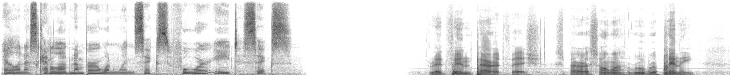 紅鰭鸚鯛 - ML116486