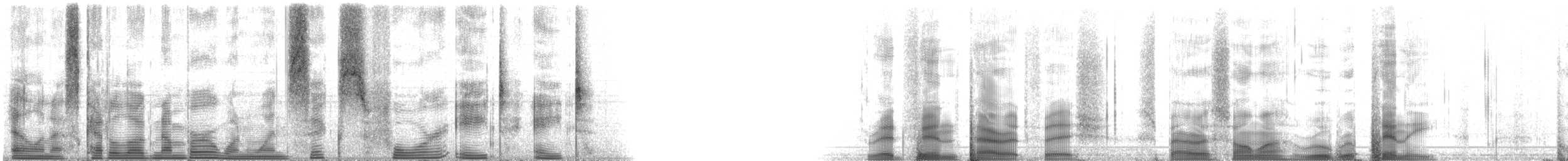 Yellowtail Parrotfish - ML116488