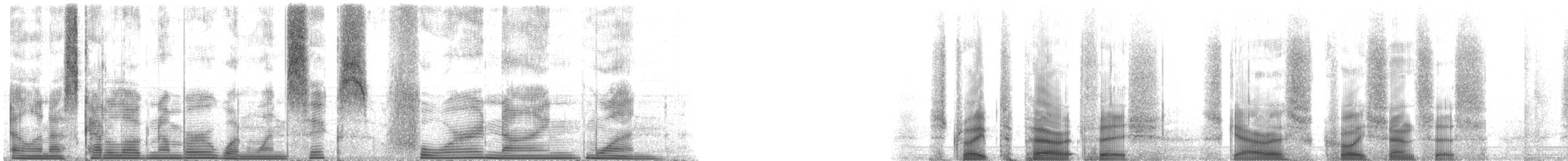 Striped Parrotfish - ML116491