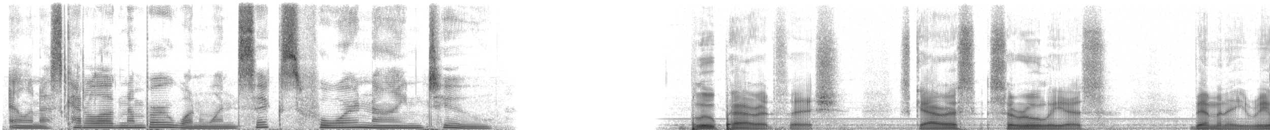 Blue Parrotfish - ML116492