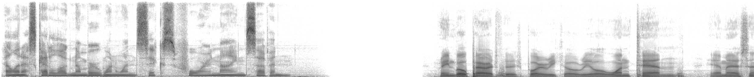 虹彩鸚嘴魚 - ML116497