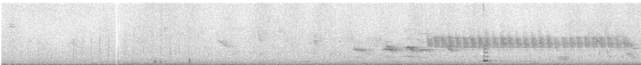 Краснолобая лысуха - ML116562141