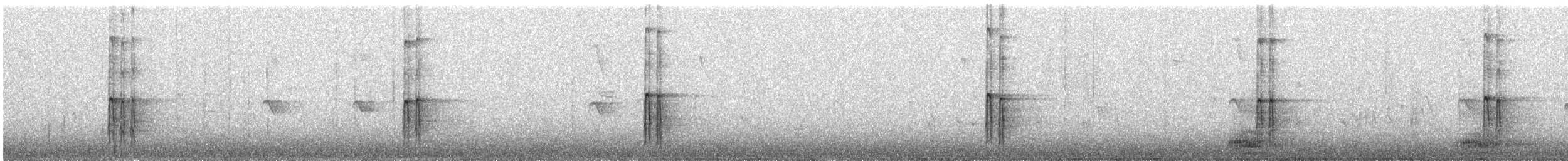 strakapoud bělohlavý - ML116660581