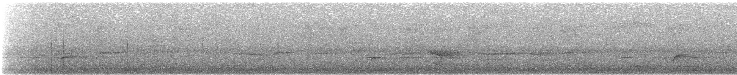 Дрізд-короткодзьоб Cвенсона - ML116665991