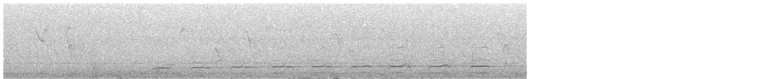 káně černohřbetá (ssp. augur) - ML116682931