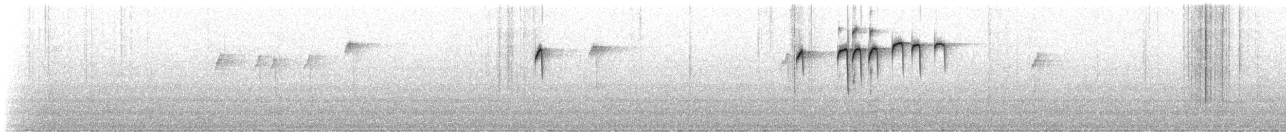 Black-capped Chickadee - ML116747861