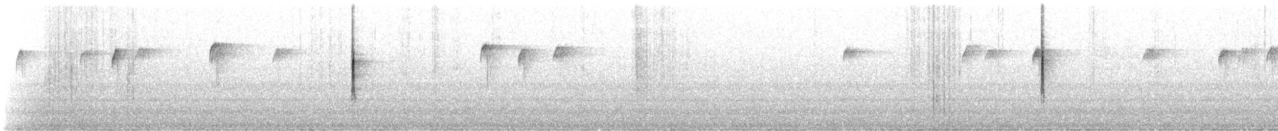 Black-throated Green Warbler - ML116748971