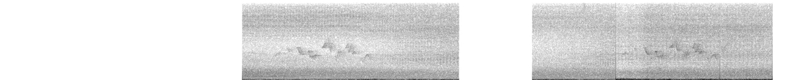 Sperlingsvogel, unbestimmt - ML116799821