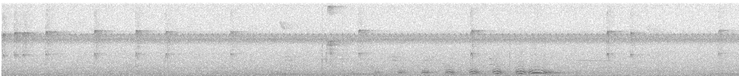 Barred Owl - ML116824741