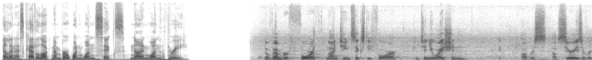 Bigscale Soldierfish - ML116913