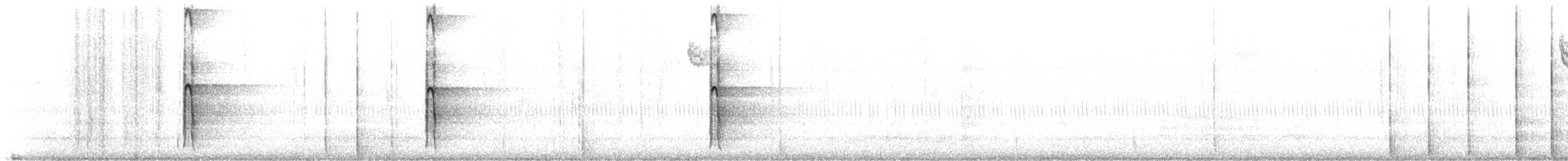 Haarspecht [villosus-Gruppe] - ML116915431