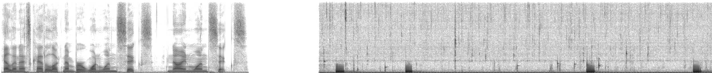 Bigscale Soldierfish - ML116916