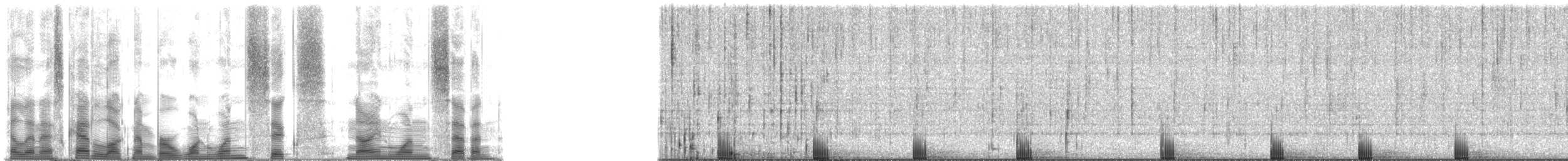 Bigscale Soldierfish - ML116917