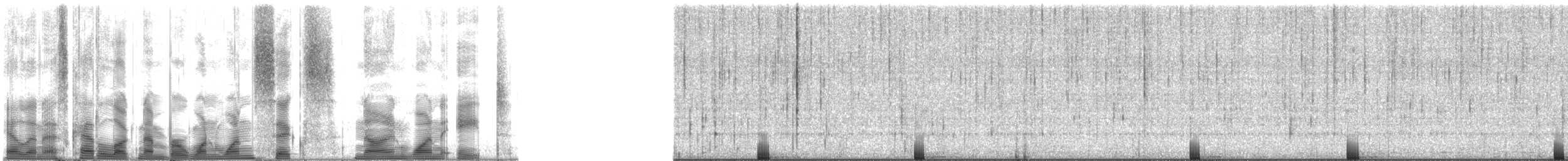 Bigscale Soldierfish - ML116918