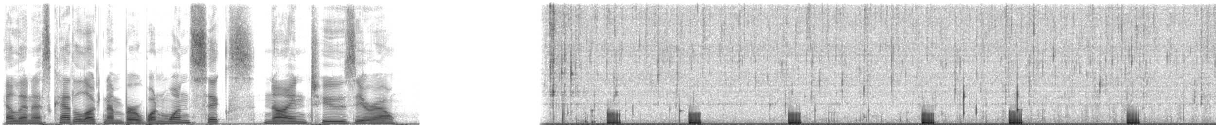 Bigscale Soldierfish - ML116920