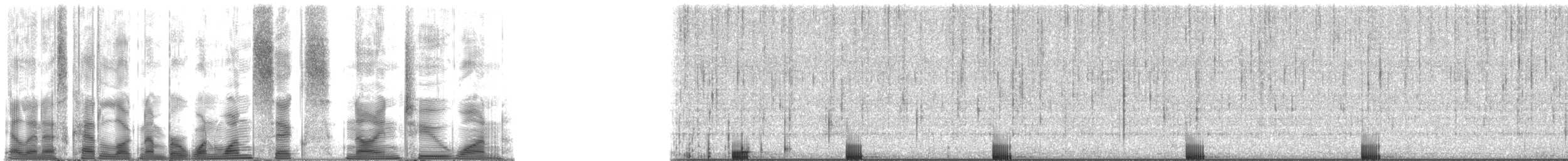 Bigscale Soldierfish - ML116921