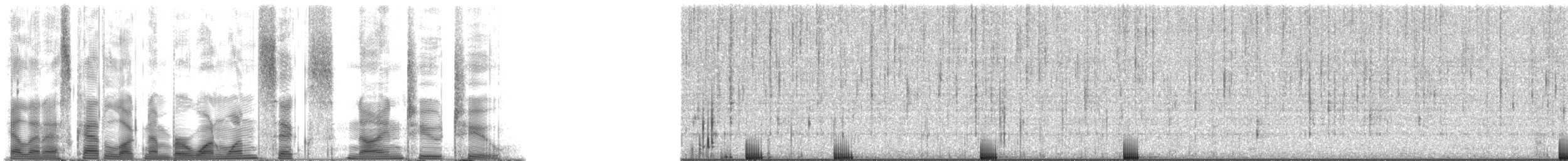 Bigscale Soldierfish - ML116922