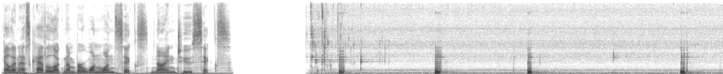 Bigscale Soldierfish - ML116926