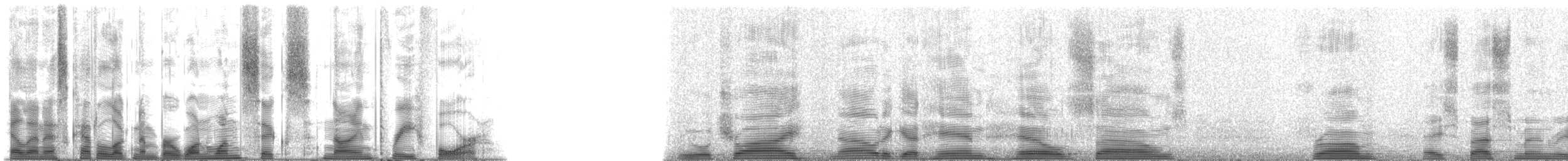 Crown Squirrelfish - ML116934