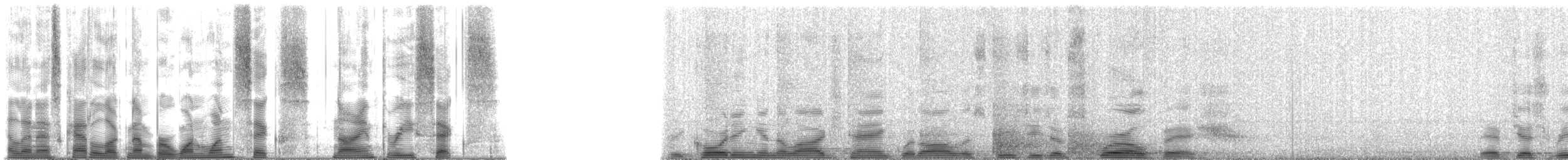 Squirrelfishes and Soldierfishes - ML116936