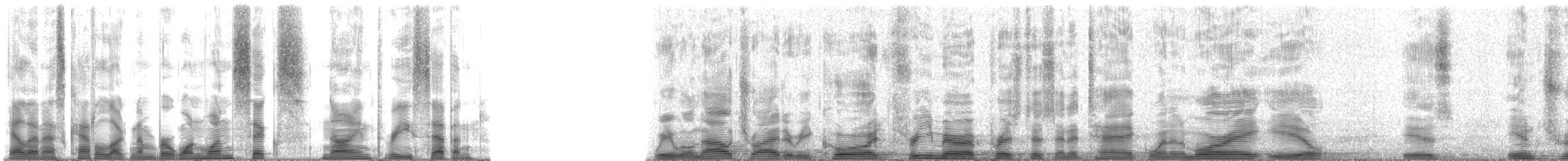 Crimson Soldierfish - ML116937