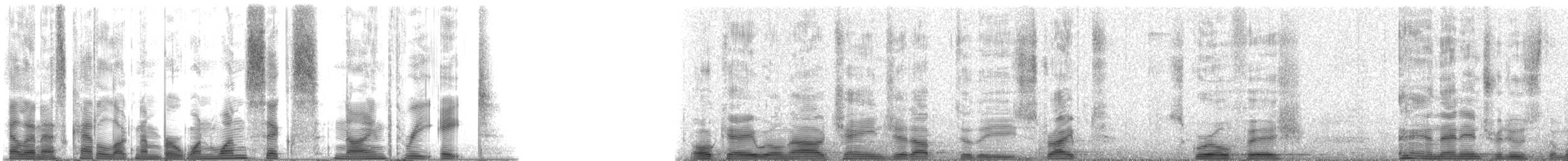 Hawaiian Squirrelfish - ML116938