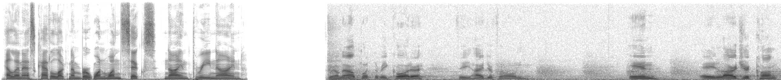 Hawaiian Squirrelfish - ML116939