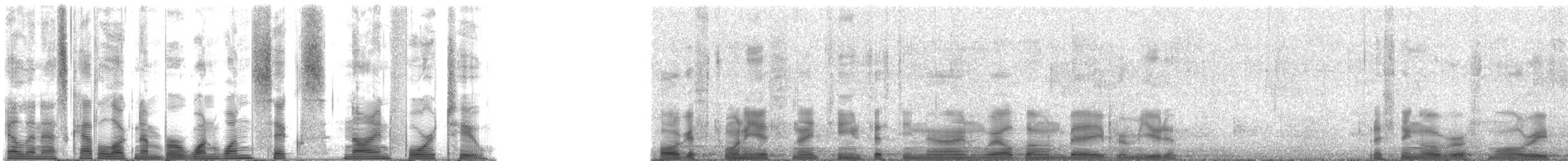 Squirrelfishes and Soldierfishes - ML116942