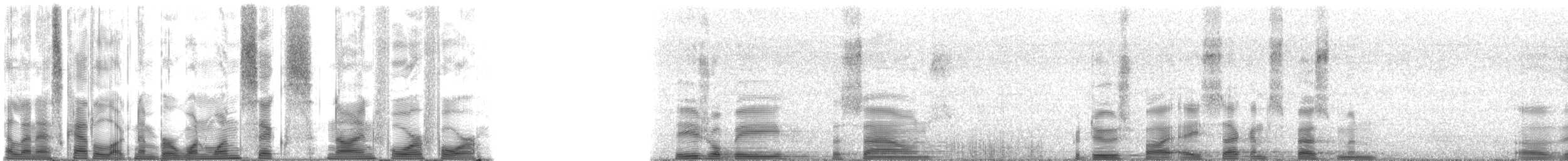 Longarm Furrow Lobster - ML116944