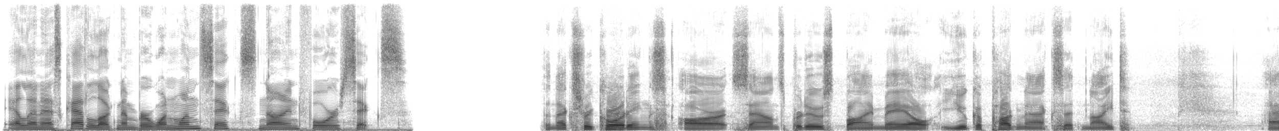 Mud Fiddler Crab - ML116946