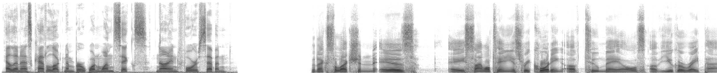 Mudflat Fiddler Crab - ML116947