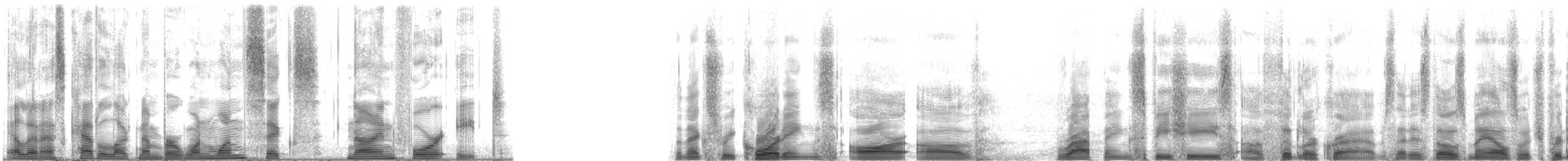 Brilliant Fiddler Crab - ML116948