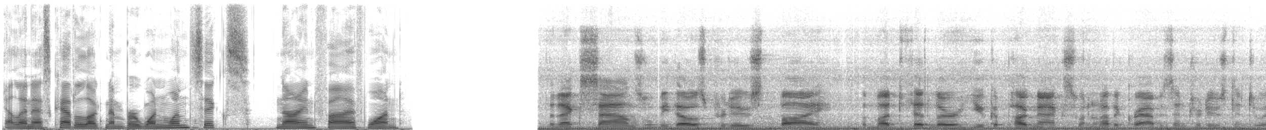 Mud Fiddler Crab - ML116951