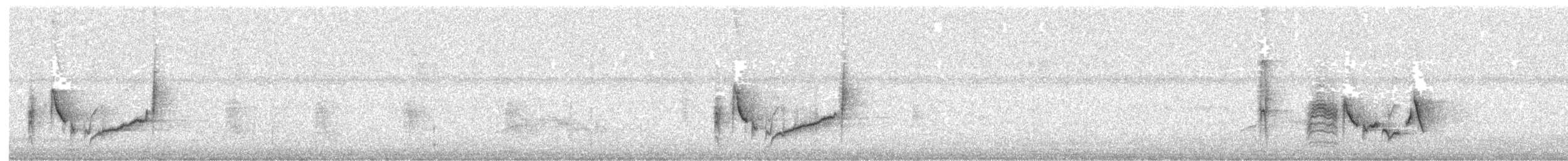 Weißaugenvireo - ML116959751