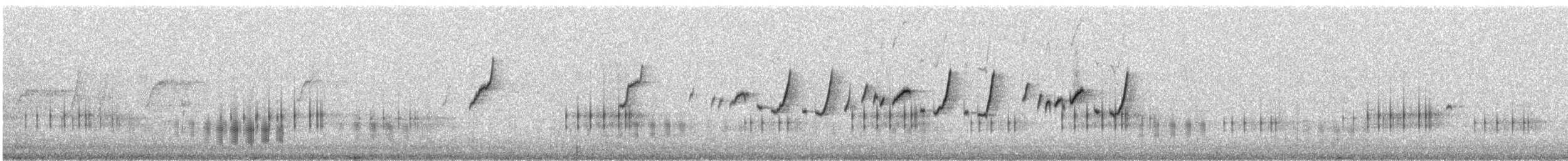 Eastern Spinebill - ML116986481