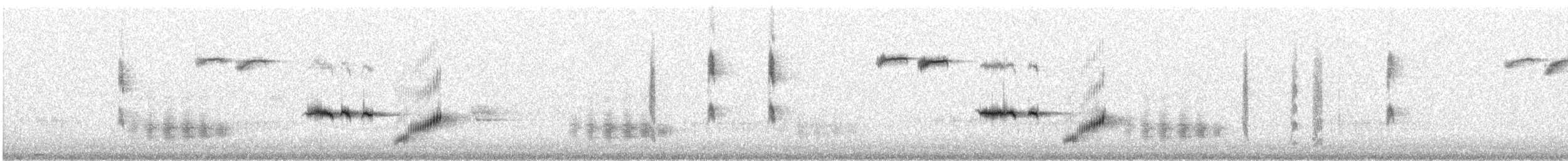 Tasmanian Thornbill - ML116986521