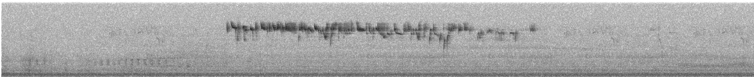 Southern Emuwren - ML116986971