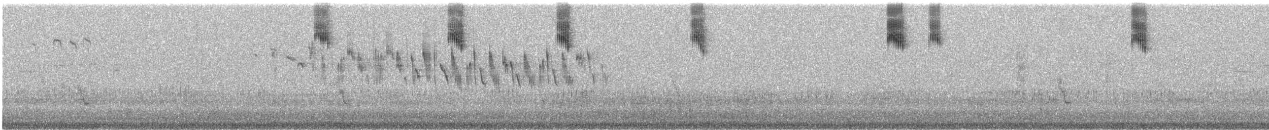 Southern Emuwren - ML116986981