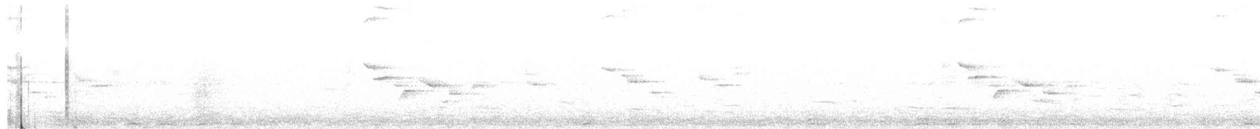 Turuncu Gagalı Bülbül Ardıcı - ML117108641