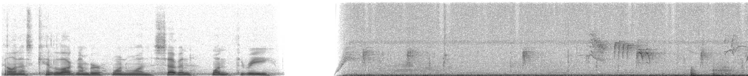 Black-capped Vireo - ML11713