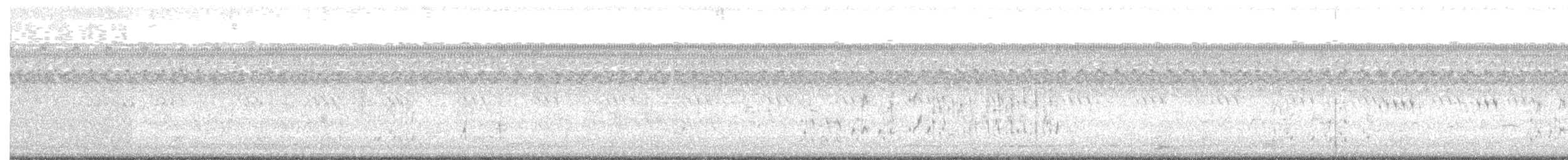 Troglodyte des marais - ML117161941