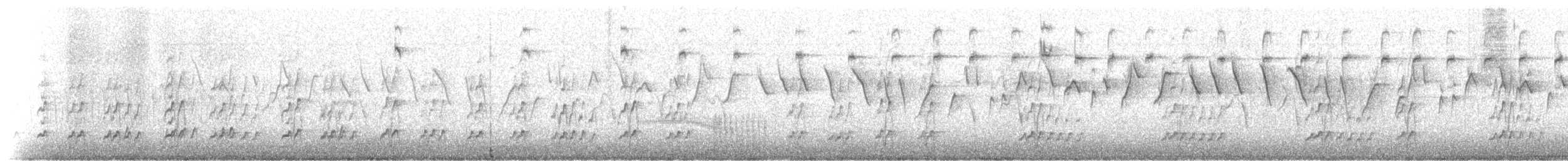 Streifengesichtwachtel - ML117194211