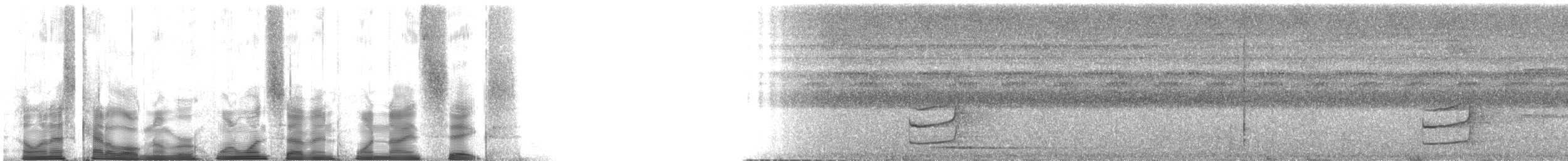 Zimtkehl-Baumspäher [obscurus-Gruppe] - ML117196