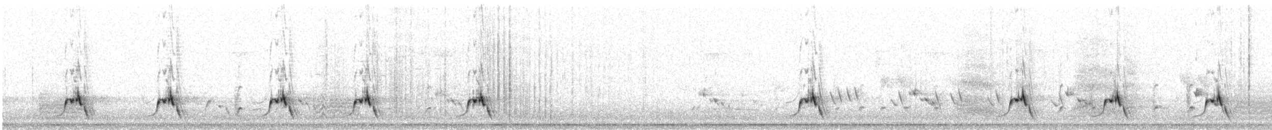 Çizgili Panterkuşu (striatus) - ML117205521