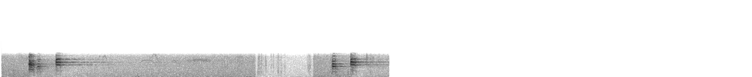 Black-faced Ibis - ML117208151