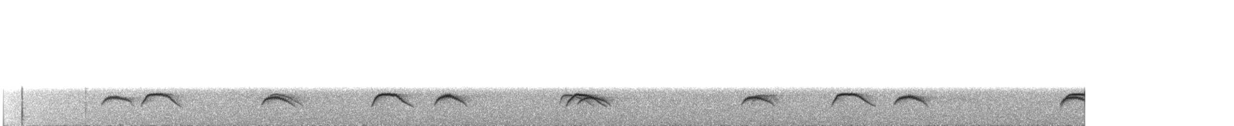 White-crested Elaenia - ML117208321