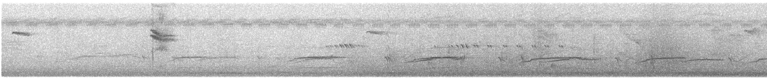 Alción (Todiramphus) sp. - ML117221491