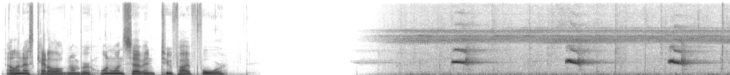 Channel-billed Toucan (Channel-billed) - ML117254