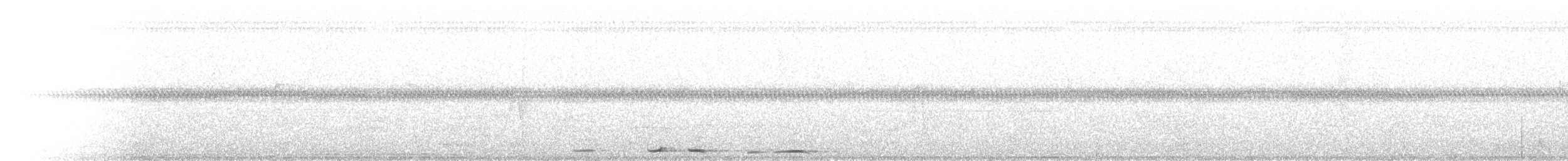 holub krátkozobý - ML117289881